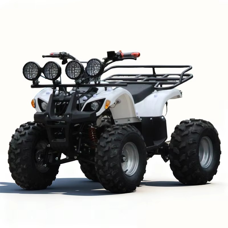750W 48V Kinder-Elektro-ATV Qu – Kids Outdoor Electric Quad Bewertung und Preis
