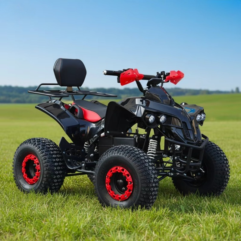 Elektrisches ATV-Quad mit Kard – Kids Outdoor Electric Quad Bewertung und Preis