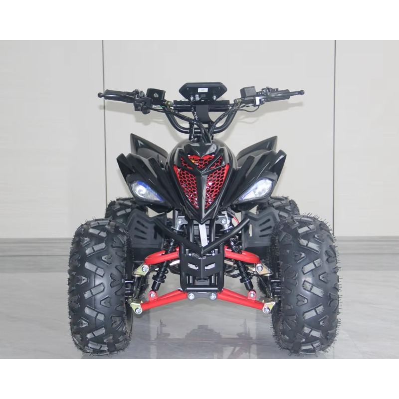 48V 1000W Elektrisches Kinder- – Kids Outdoor Electric Quad Bewertung und Preis