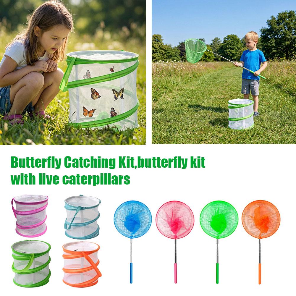 Kinder-Schmetterlingsfangset F – Bug Catching Kit Bewertung und Preis