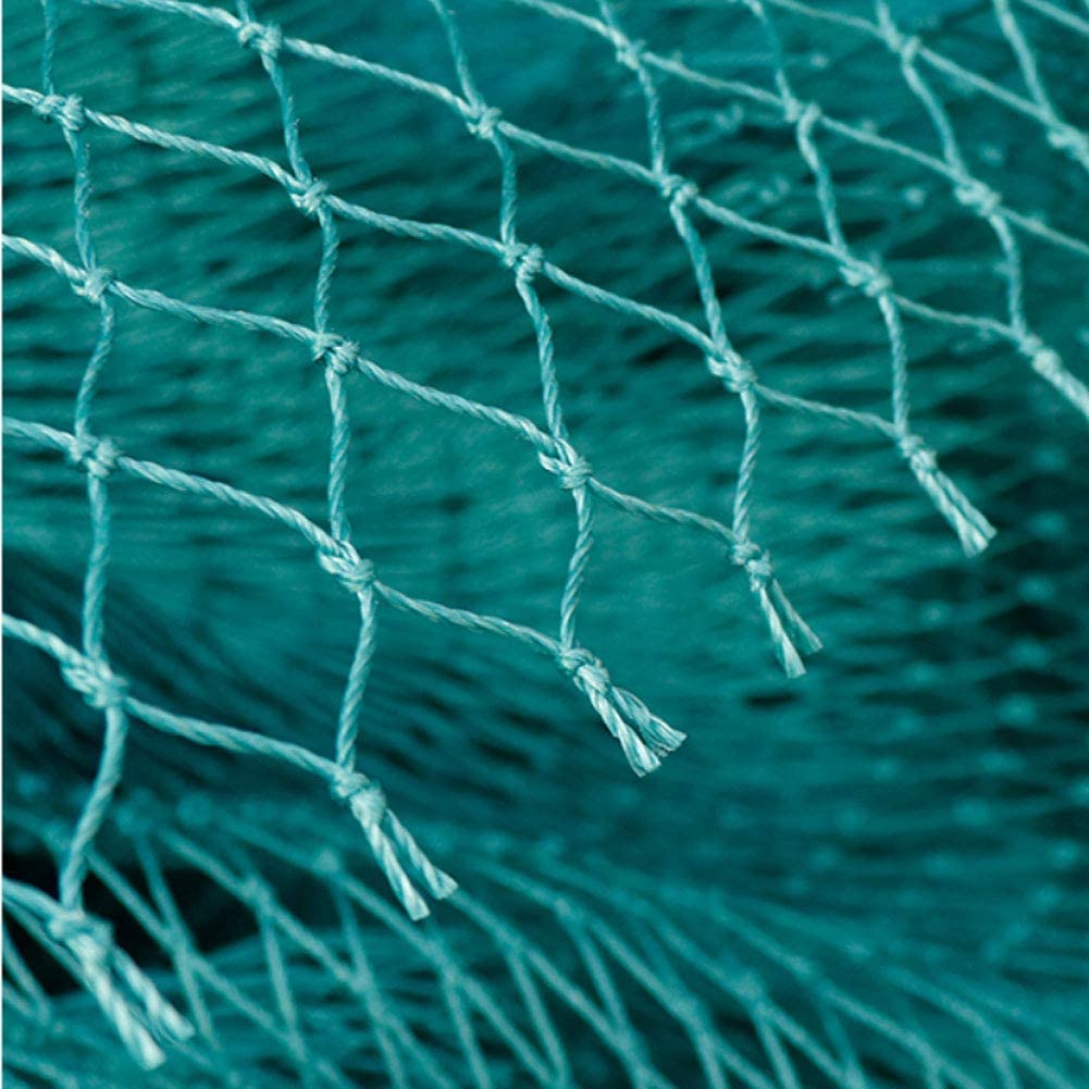 Solides Anti-Vogel-Netz, Garte – Kids Outdoor Net Bewertung und Preis